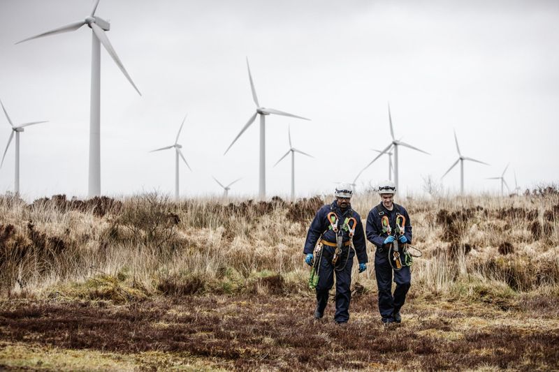 SOLAS is Seeking to Appoint a New Chief Executive Officer  image